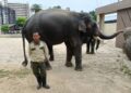 ALI Gadong memantau  pergerakan Kelat, Dara dan Amoi di lapangan Zoo Tennoji, Osaka, Jepun.