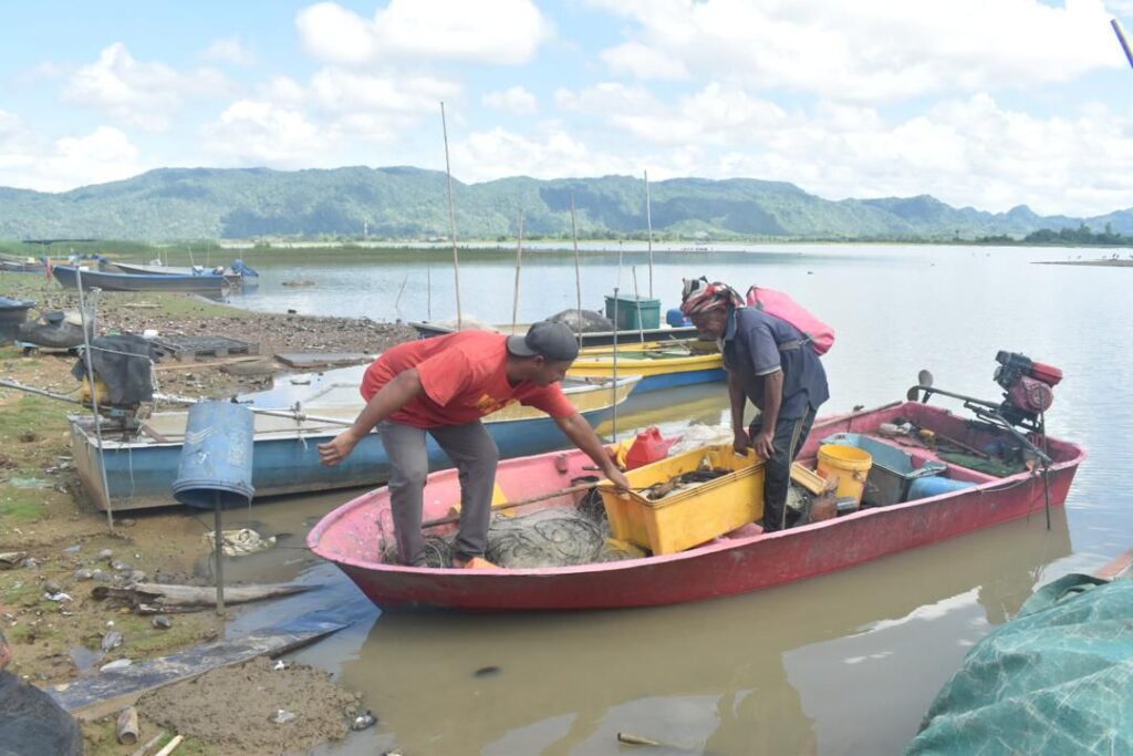 Nelayan lega paras Empangan Timah Tasoh meningkat