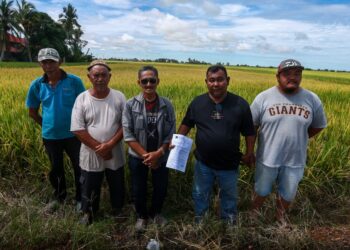 Diesel sawah padi