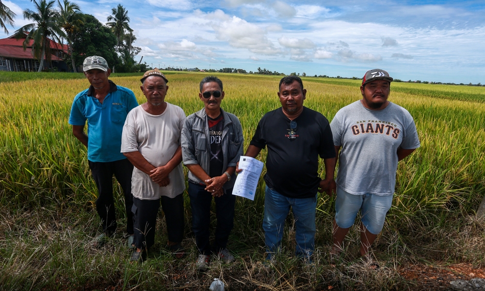 Diesel sawah padi