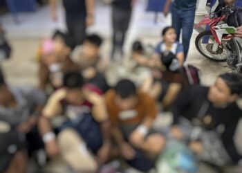 SEBAHAGIAN PATI yang ditahan PGA dalam serbuan di Kampung Siram, Jeram Perdah, Pasir Mas, Kelantan semalam.-IHSAN PGA.