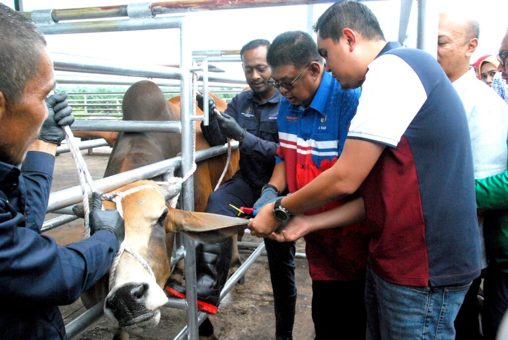 Melaka perintis sistem QR Tagging ternakan pertama negara