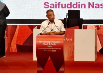 Saifuddin Nasution Ismail
