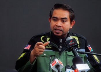 SANI ARABY ABDUL ALIM ARABY