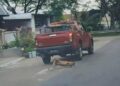TANGKAP layar video tular dipercayai pekerja kepada kontraktor dilantik MBJB melanggar seekor anjing liar di kawasan Puteri Wangsa, Johor Bahru.