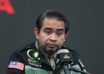 SANI ARABY ABDUL ALIM ARABY