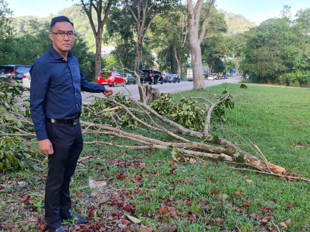 MBK digesa pantau pokok berisiko