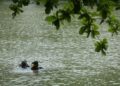 ANGGOTA Bomba dan Penyelamat Malaysia melakukan operasi mencari dan menyelamat dua remaja perempuan yang hilang dibawa arus ketika mandi Kampung Jeram Hulu, Kuala Terengganu, Terengganu.- UTUSAN/PUQTRA HAIRRY