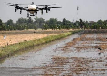 DRON pertanian menyembur larutan mikrob Soil Digest ke atas sisa jerami tanaman di sawah padi di wilayah Pathum Thani.
– AFP