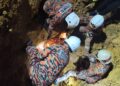 PASUKAN bomba dan penyelamat sudah mengenal pasti identiti mangsa yang tertimbus dipercayai untuk melombong emas di kawasan anak sungai Ladang Sawit Jerimbong, Jeli, Kelantan malam tadi.
