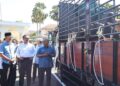 MUHAMMAD Sanusi Md Nor pada Majlis Penyerahan Lembu Korban di Seri Mentaloon, Alor Setar.