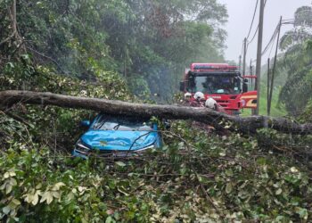 KEADAAN kereta jenis Perodua Axia yang dihempap pokok tumbang akibat hujan lebat, hari ini.
