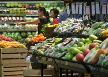 BAGI subsektor perdagangan runcit, pertumbuhan stabil 8.1 peratus direkodkan pada Mac 2026 bagi jualan di kedai bukan pengkhususan seperti pasar raya, pasar mini dan gedung serbaneka.
