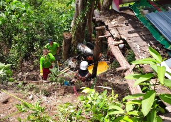 SEORANG lelaki maut selepas traktor yang dipandunya terbabas dan terjunam ke lereng berhampiran Tanah Perkuburan Cina Teluk Bahang, Jalan Teluk Bahang, Pulau Pinang. - IHSAN JBPM PULAU PINANG