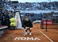 JANNIK Sinner. - AFP