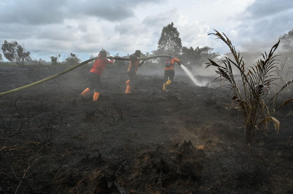 Indonesia siap siaga hadapi kebakaran hutan musim 