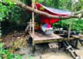 PENEMPATAN yang dipercayai digunakan untuk memproses daun ketum di kawasan hutan paya bakau persisiran muara Sungai Kuala Sanglang, Perlis, semalam. -UTUSAN