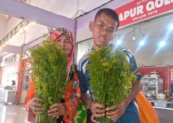 DUA beranak dari Kampung Kandis Mela di Lipis, Pahang tidak malu menjaja pucuk paku di pekan Jerantut dan Lipis demi pendapatan keluarga.
