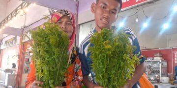 DUA beranak dari Kampung Kandis Mela di Lipis, Pahang tidak malu menjaja pucuk paku di pekan Jerantut dan Lipis demi pendapatan keluarga.