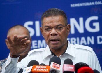 SAIFUDDIN NASUTION ISMAIL