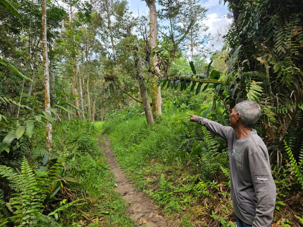 ‘Jika mahu mendaki, jumpalah dahulu tok batin’
