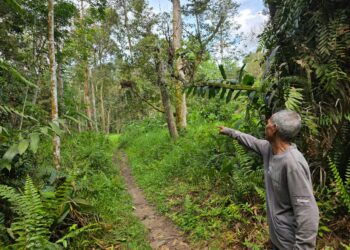 BAH Kajong menunjukkan laluan dari kaki Gunung Batu Putih di Tapah yang berlaku kehilangan pendaki wanita, Jaslinda Saludin namun berjaya ditemukan dalam keadaan selamat pad Sabtu lalu. - UTUSAN/AIN SAFRE BIDIN.