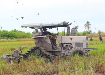 AKTIVITI penanaman padi dianggap masih perlahan disebabkan pesawah berdepan kekangan kos operasi dan bekalan air.