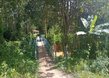 JAMBATAN sementara yang dibina secara gotong-royong oleh penduduk kampung setelah projek pembinaan jambatan utama baharu terbengkalai di Sik Dalam, Sik, Kedah.