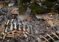PANDANGAN udara menunjukkan bangunan yang musnah akibat gempa bumi berkembar di Caraballeda, Negeri La Guaira, Venezuela.- AFP