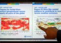 KETUA Perkhidmatan Ramalan Iklim WMO, Wilfran Moufouma-Okia menunjukkan graf fenomena El Nino yang dipaparkan pada skrin komputer di ibu pejabat WMO di Geneva-AFP 