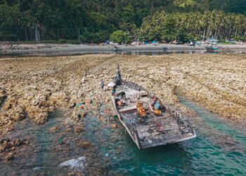 GAMBAR menunjukkan kawasan 'pengangkatan pantai' susulan gempa bumi di sepanjang Taman Laut Pangyan di Glan, Sarangani.- AFP