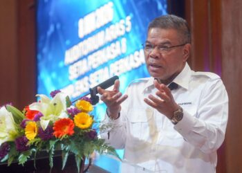 Saifuddin Nasution Ismail