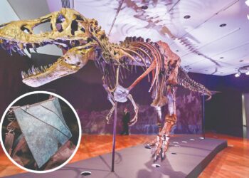 BEG kulit T-Rex dan gambar rangka tulangnya. - AFP