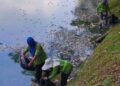 PEKERJA pembersihan sedang membersihkan Tasik Taman Danau Kota, Kuala Lumpur. - Ihsan DBKL