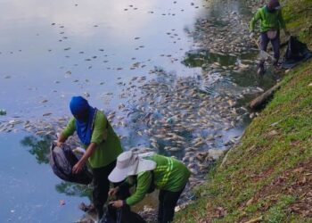 PEKERJA pembersihan sedang membersihkan  Tasik Taman Danau Kota, Kuala Lumpur. - Ihsan DBKL