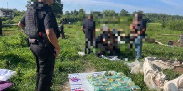 ANGGOTA Unit Siasatan Khas Narkotik Wilayah Narathiwat menyerbu sebuah ladang sawit di Daerah Sungai Padi, Narathiwat, Thailand.