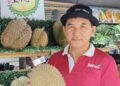 KIE Kim Hwa menunjukkan kod QR bagi tujuan pengesahan produk durian Balik Pulau yang diperkenalkan untuk para pekebun durian di Pulau Pinang.