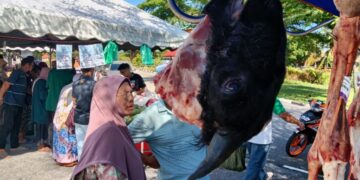 SEBANYAK 400 kilogram (kg) daging kambing licin dalam tempoh 30 minit pada Program Jualan Rahmah Madani (PJRM) di Masjid Tok Jembal, Seberang Takir, Kuala Terengganu semalam.