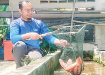 AHMAD Muttaqin Khairul mengusahakan kolam ternakan ikan yang pada asalnya terbiar milik arwah datuknya di Tapah, Perak. 
– UTUSAN/MEGAT LUTFI MEGAT RAHIM