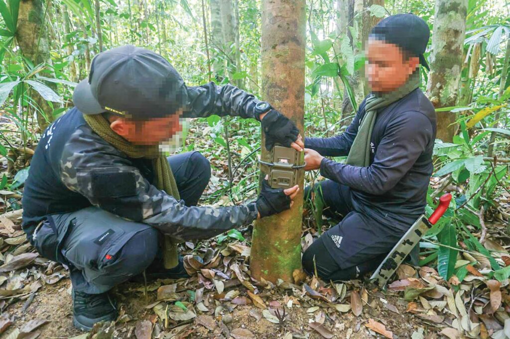 Indigenous Rangers Protect Kenyir Lake's Forest Treasures