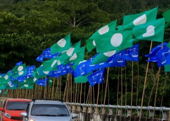 KERJASAMA strategik antara BN dan Pas mampu menjadi petunjuk awal terhadap kemungkinan pembentukan jajaran politik Melayu Islam yang lebih besar pada masa hadapan.