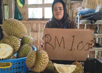 UNIMA Ajik menunjukkan durian kampung yang dijual pada harga RM1 sekilogram di Kampung Simoi Baru, Pos Betau, Lipis, Pahang.