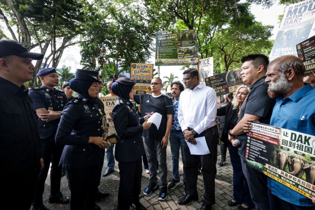 DAK Tapir Issue: Establish Special Task Force Immediately