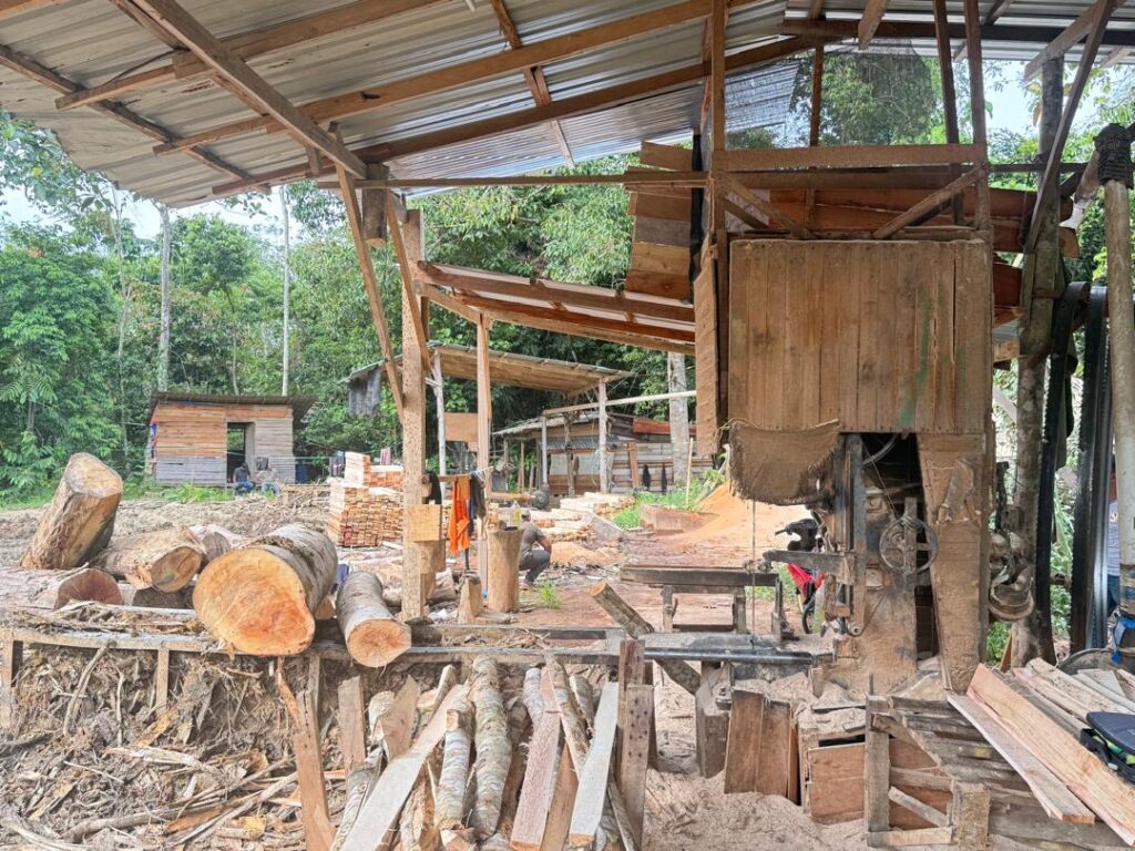 Malaysian police raid illegal logging factory, seize timber and equipment worth RM1.69 million