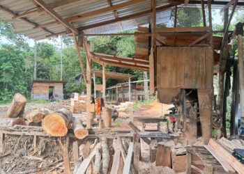 SEBAHAGIAN kayu yang dirampas PGA dalam serbuan di Kampung Sungai Bayu, Gua Musang, Kelantan semalam.