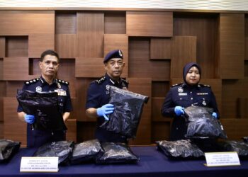 BADERULHISHAM Baharudin (tengah) menunjukkan dadah disyaki bunga ganja seberat 14.63kg pada sidang akhbar di IPK Kedah, Alor Setar malam tadi. - UTUSAN/ SHAHIR NOORDIN