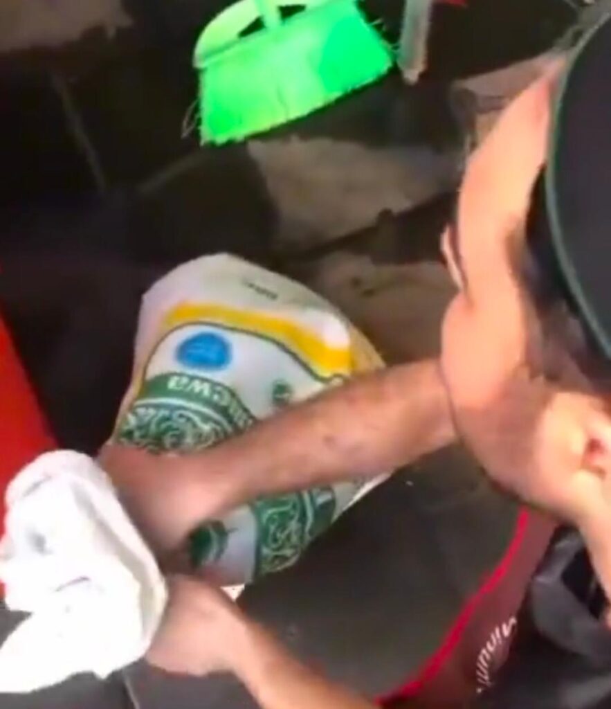 Aniaya kucing, polis rujuk kertas siasatan kepada 