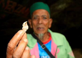 OTHMAN Ahmad menunjukkan cengkerang siput laut dijumpai di Kota Gua Gelanggi di Jerantut, Pahang. – UTUSAN/SALEHUDIN MAT RASAD