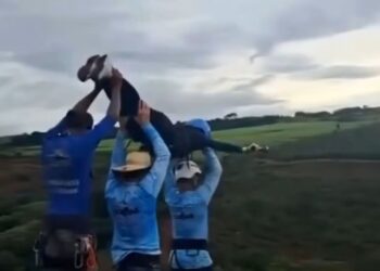 FREITAS maut selepas terjun tanpa memakai tali keselamatan. - X