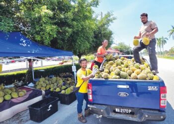 ADAM Muhamad (kanan) dan pembantunya menjual buah durian kampung dari atas kenderaan di tepi jalan pekan Kampung Gajah di Pasir Salak. - UTUSAN/AIN SAFRE BIDIN